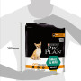 Сухий корм для собак Purina Pro Plan Dog Small&Mini Adult з куркою і рисом 700 г (7613035120778) Сухий корм для собак Purina Pro Plan Dog Small&Mini Adult з куркою і рисом 700 г (7613035120778)