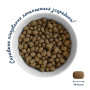 Сухий корм для собак Home Food ADULT MEDIUM Healthy skin and shiny coat з індичкою та лососем 10 кг (4820235020392) Сухий корм для собак Home Food ADULT MEDIUM Healthy skin and shiny coat з індичкою та лососем 10 кг (4820235020392)