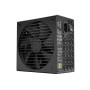 FRACTAL DESIGN Ion 3 Gold 850W Black, EU (FD-P-IA3G-850-EU)