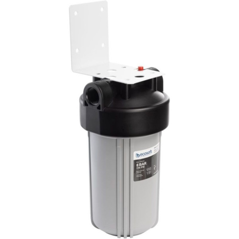 Фільтр магістральний Ecosoft ВВ10, підключення 1", 2 ущільнювальні кільця, без картриджа