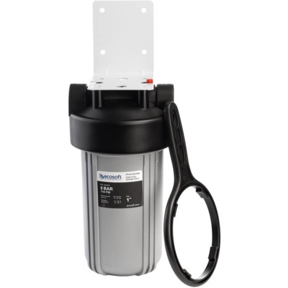 Фільтр магістральний Ecosoft ВВ10, підключення 1", 2 ущільнювальні кільця, без картриджа