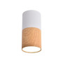 Світильник точковий Candellux 2273655 TUBA (2273655) Світильник точковий Candellux 2273655 TUBA (2273655)