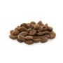 Сухий корм для собак Brit Premium Dog Light 3 кг (8595602526581) Сухий корм для собак Brit Premium Dog Light 3 кг (8595602526581)