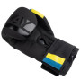 Боксерські рукавички PowerPlay 3021 Ukraine Чорніі 8 унцій (PP_3021_8oz_Black)