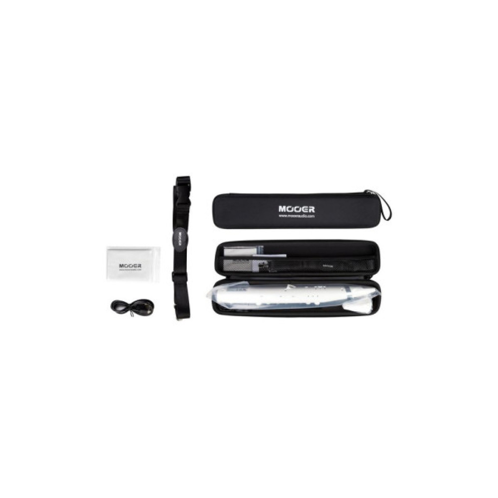 Блокфлейта Mooer Wi100 White