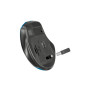 Мишка Defender Prime MB-053 Silent Wireless Turquoise (52054) Мишка Defender Prime MB-053 Silent Wireless Turquoise (52054)