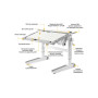 Парта Mealux Ergowood L Multicolor TG Energy (BD-810 TG/MC Energy) Парта Mealux Ergowood L Multicolor TG Energy (BD-810 TG/MC Energy)