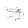 Парта Mealux Ergowood L Multicolor TG Energy (BD-810 TG/MC Energy) Парта Mealux Ergowood L Multicolor TG Energy (BD-810 TG/MC Energy)