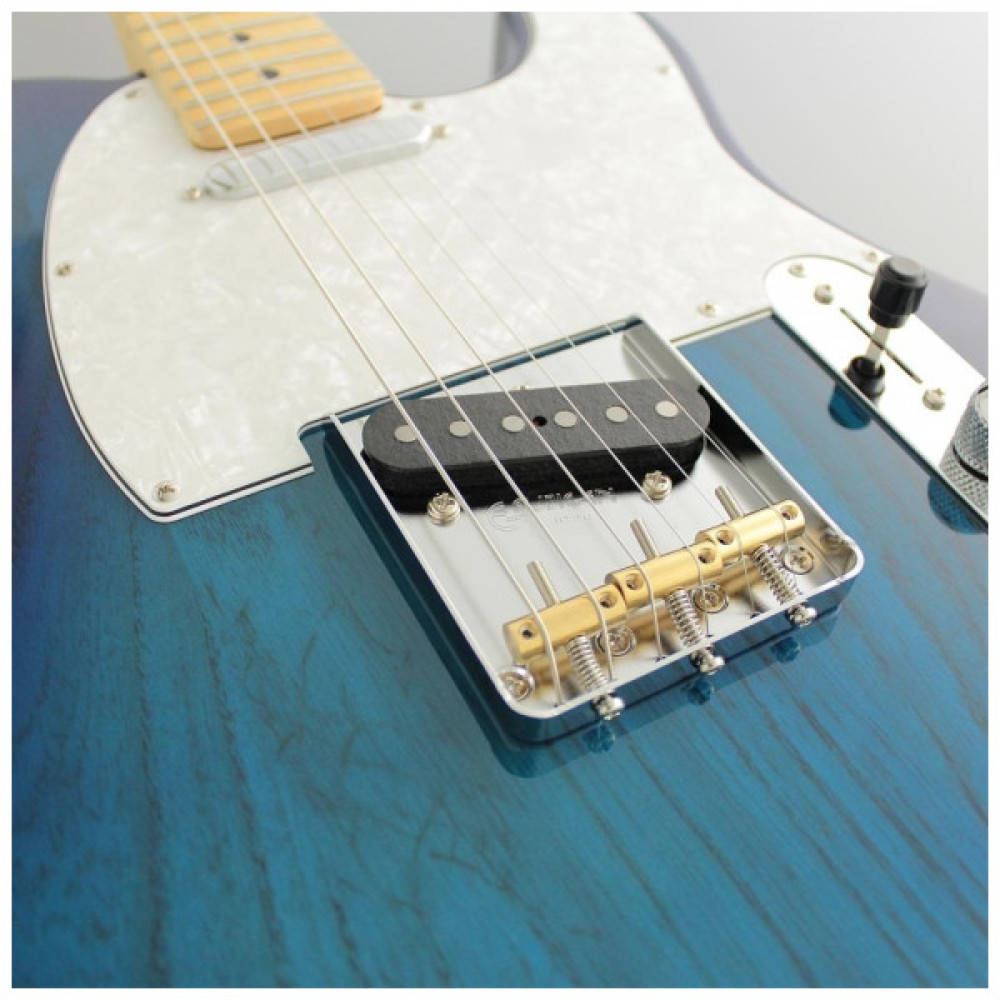 Електрогітара FGN Neo Classic See-Thru Blue Burst (NTE100MAH-SBB)