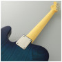 Електрогітара FGN Neo Classic See-Thru Blue Burst (NTE100MAH-SBB)