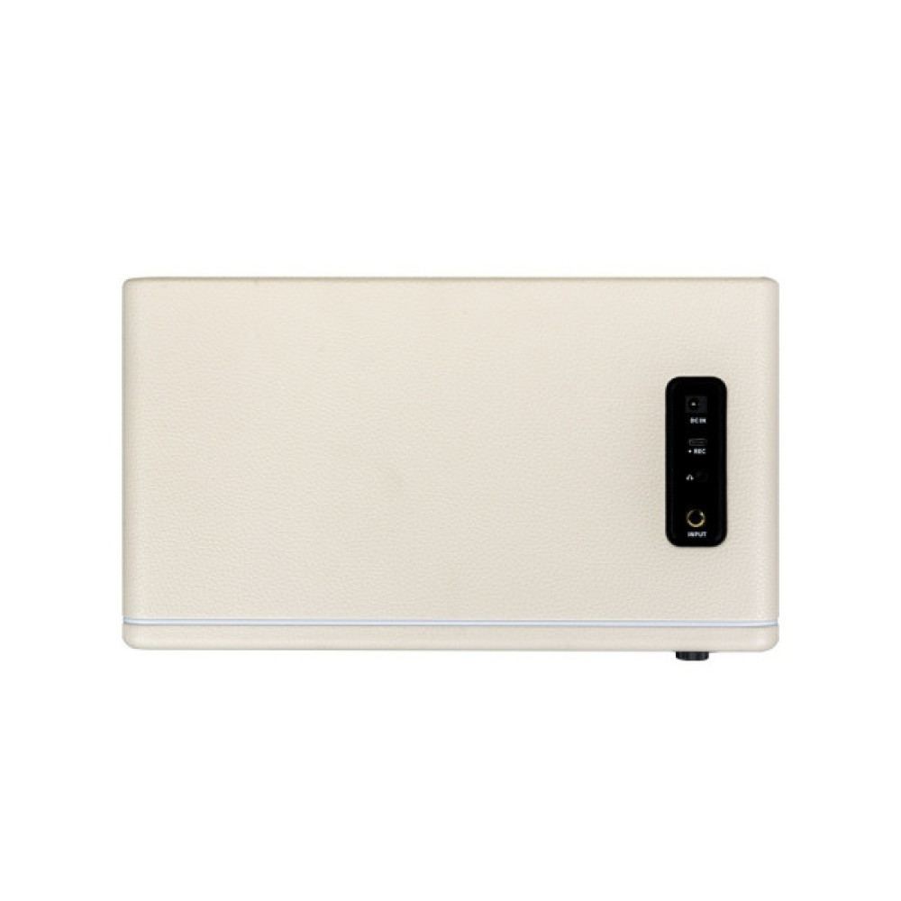 Комбопідсилювач Mooer Hornet 30i White