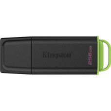 KINGSTON DTXG2/256GB