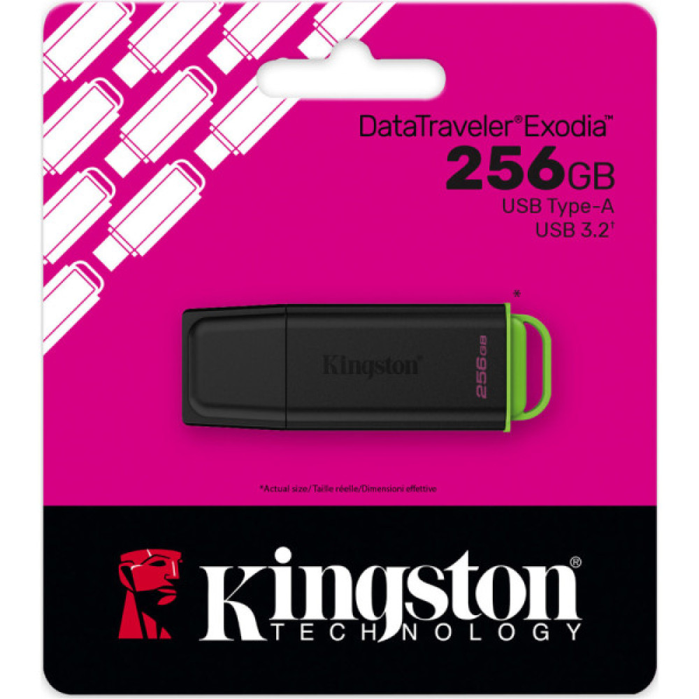 KINGSTON DTXG2/256GB
