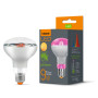 Лампочка Videx Filament R80FF 09W E27 1200K (VL-R80FF-09271) Лампочка Videx Filament R80FF 09W E27 1200K (VL-R80FF-09271)