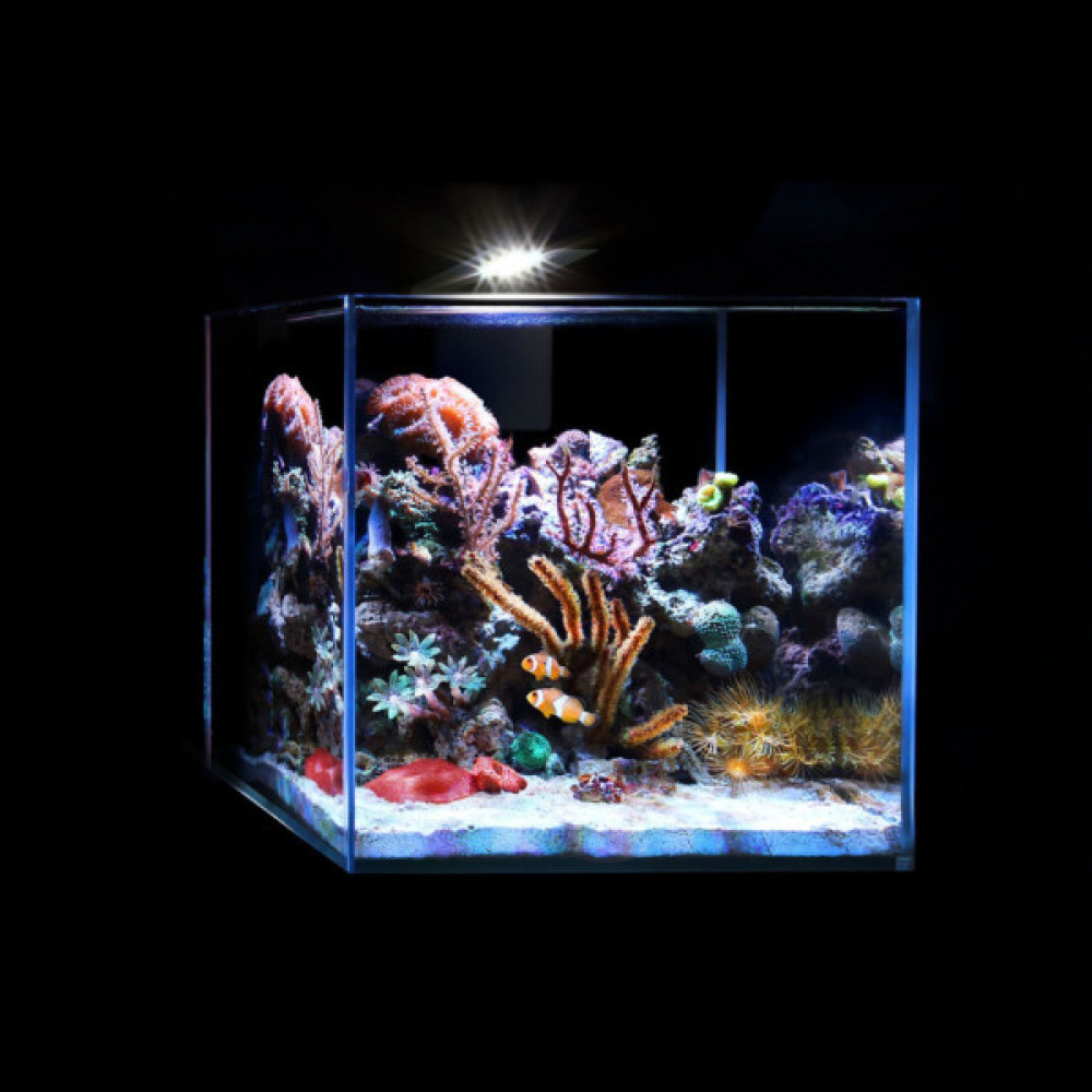 Світильник для акваріума Aqualighter Nano Marine (для морського акваріуму до 20 л) 12000 к 380 люм (8228)