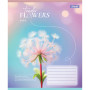 Зошит 1 вересня Tender Flowers А5 24 аркушів клітинка (768076)