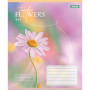 Зошит 1 вересня Tender Flowers А5 24 аркушів клітинка (768076)