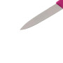 Набір ножів Victorinox SwissClassic, 8см, 2шт. в блистере, розовые (6.7606.L115B) Набір ножів Victorinox SwissClassic, 8см, 2шт. в блистере, розовые (6.7606.L115B)