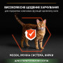 Сухий корм для кішок Purina Pro Plan Sterilised з лососем 10 кг (7613036517164) Сухий корм для кішок Purina Pro Plan Sterilised з лососем 10 кг (7613036517164)