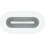 Адаптер Apple USB-C to Apple Pencil Adapter (MWML3ZM/A)