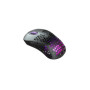 Мишка Cherry Xtrfy M4 RGB Wireless/USB Black (M4W-RGB-BLACK) Мишка Cherry Xtrfy M4 RGB Wireless/USB Black (M4W-RGB-BLACK)