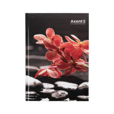 Книга записна Axent R&B Flower А5, 96 аркушів, клітинка, тверда обкладинка (8457-7-A)