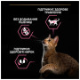 Сухий корм для кішок Purina Pro Plan Delicate Turkey зі смаком індички 10 кг (7613033566509) Сухий корм для кішок Purina Pro Plan Delicate Turkey зі смаком індички 10 кг (7613033566509)