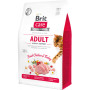 Сухий корм для кішок Brit Care Cat GF Adult Activity Support 400 г (8595602540839) Сухий корм для кішок Brit Care Cat GF Adult Activity Support 400 г (8595602540839)