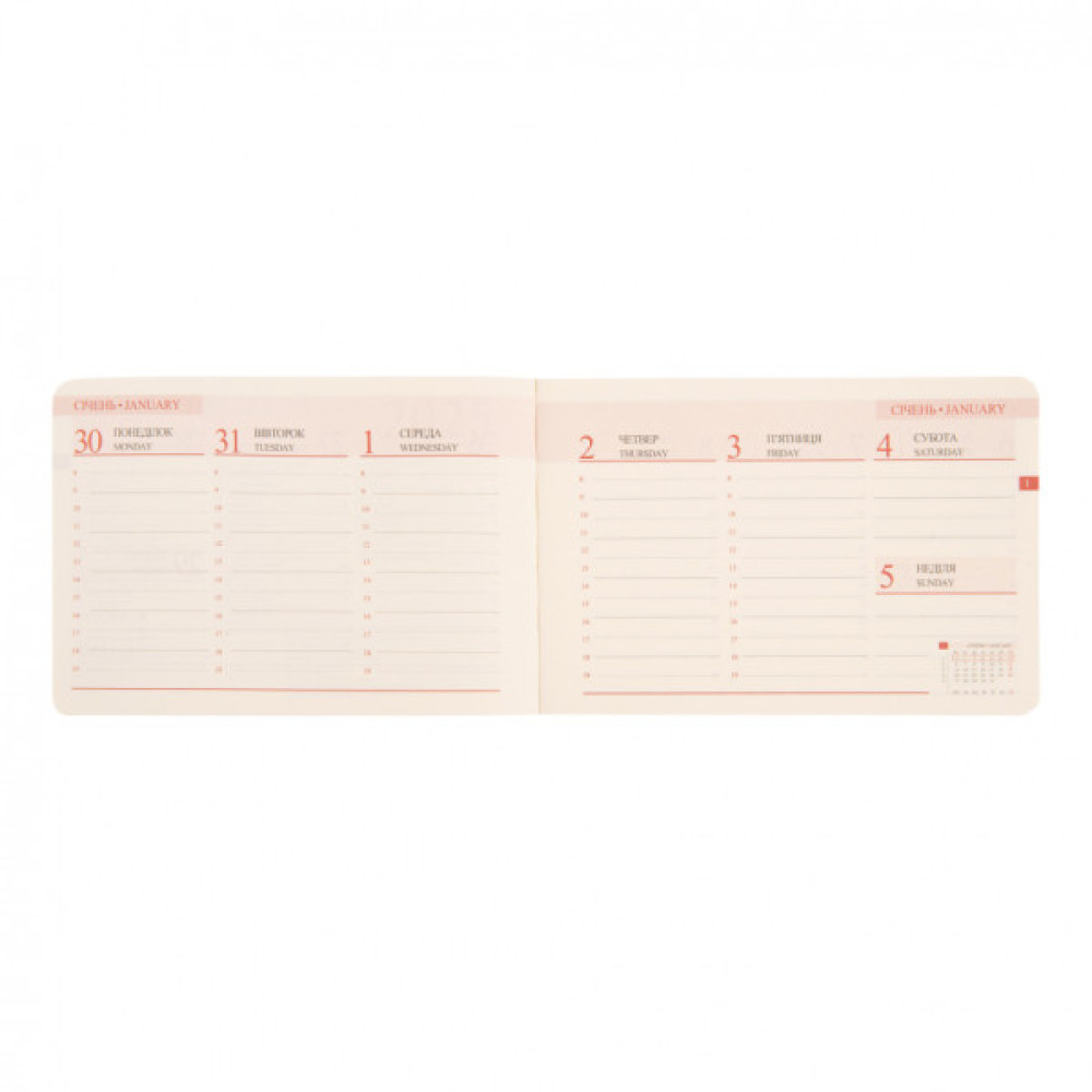 Тижневик Leo planner датований 2025 Apiro 10х15 см 128 сторінок (252571)