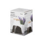 Ємність для сипучих продуктів ARDESTO Fresh конус, скло, бамбук 910 мл (AR1391BLC)