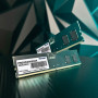 Модуль пам'яті для комп'ютера DDR5 32GB 5600 MHz Signature Line Patriot (PSD532G56002) Модуль пам'яті для комп'ютера DDR5 32GB 5600 MHz Signature Line Patriot (PSD532G56002)