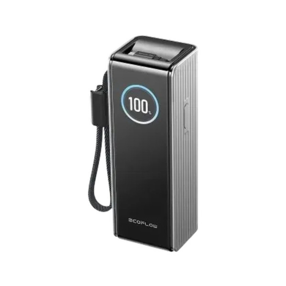 Батарея універсальна EcoFlow RAPID Power Bank 25000mAh with cables silver (EF-RAPID25K100W-S-EU)