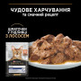 Вологий корм для кішок Purina Pro Plan Adult Indoor Nutrisavour Для кішок, що живуть у приміщенні З лососем 85 г (8445290172990) Вологий корм для кішок Purina Pro Plan Adult Indoor Nutrisavour Для кішок, що живуть у приміщенні З лососем 85 г (8445290172990)