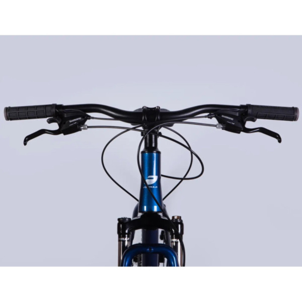 Велосипед Formula 29" MOTION DD FR рама-19" AL 2026 синiй з чорним (OPS-FR-29-420)