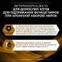 Вологий корм для кішок Purina Pro Plan Veterinary Diets NF Renal Function Advanced Care При патології нирок З лососем 10 x 85 г (7613287873699)