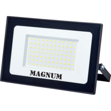 Прожектор MAGNUM FL12 ECO LED 100Вт slim 6500К IP65 (90018087)