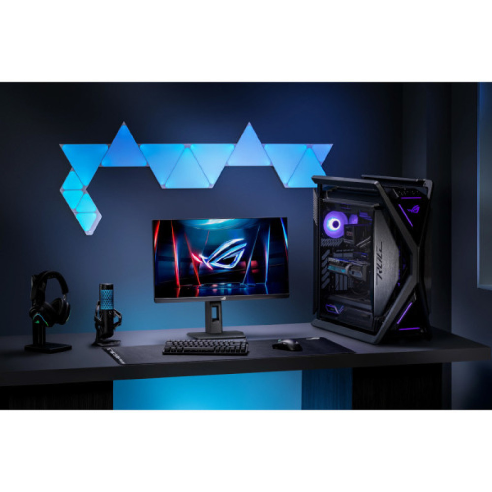 ASUS XG248QSG (90LM0C40-B01371)