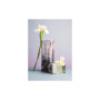 Аромадифузор Sister's Aroma Paris Date 100 мл (4820227783847/4820227783021) Аромадифузор Sister's Aroma Paris Date 100 мл (4820227783847/4820227783021)