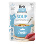 Вологий корм для кішок Brit Care Soup with Tuna з тунцем 75 г (8595602569205)