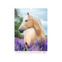 Календар Axent настінний А3 2026 р. Horses (8804-26-3-A)