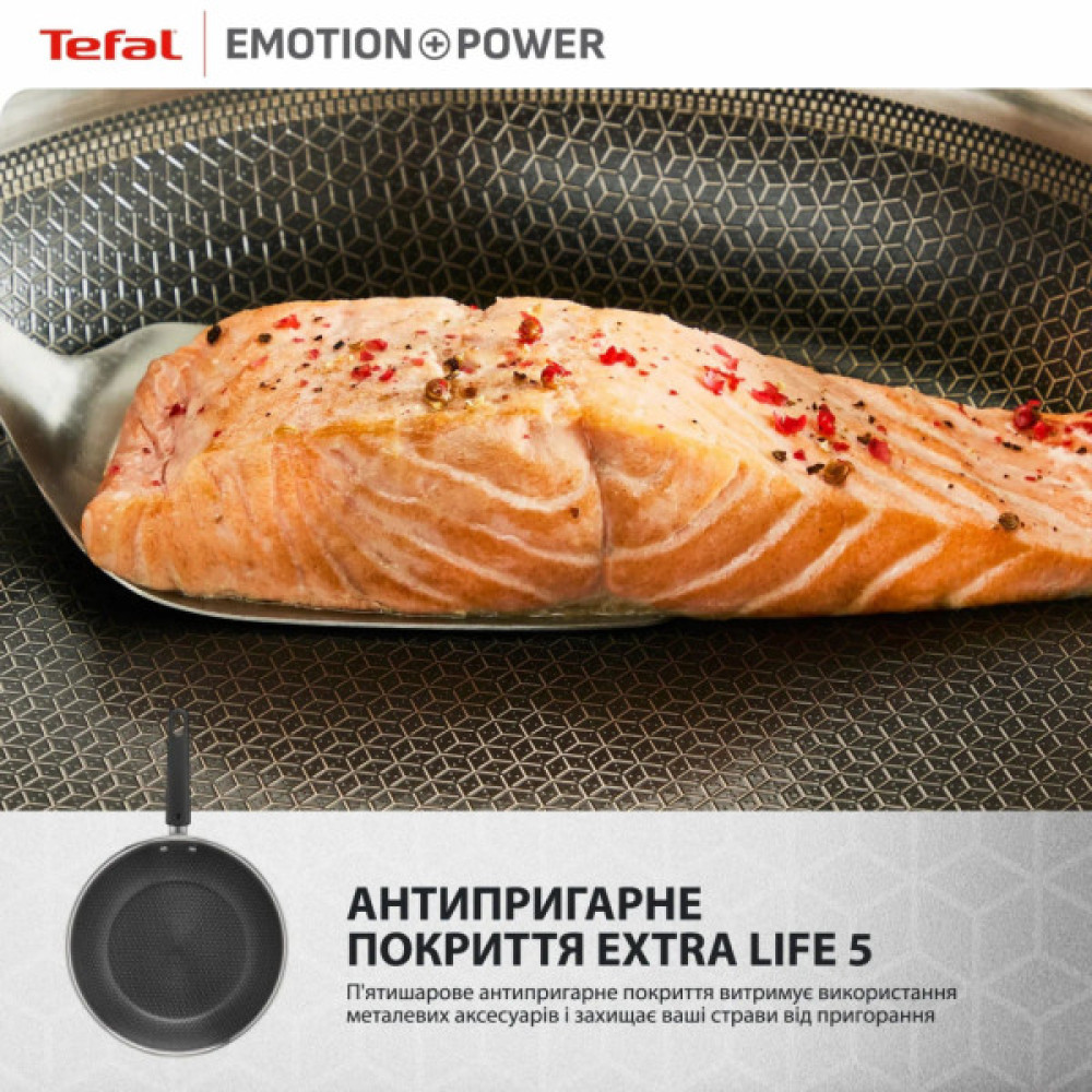 Сковорода Tefal Emotion+ Power 24 см з кришкою (SET_E3410455)