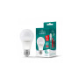 Лампочка TITANUM A60 12W E27 4100K 220V (TLA6012274) Лампочка TITANUM A60 12W E27 4100K 220V (TLA6012274)