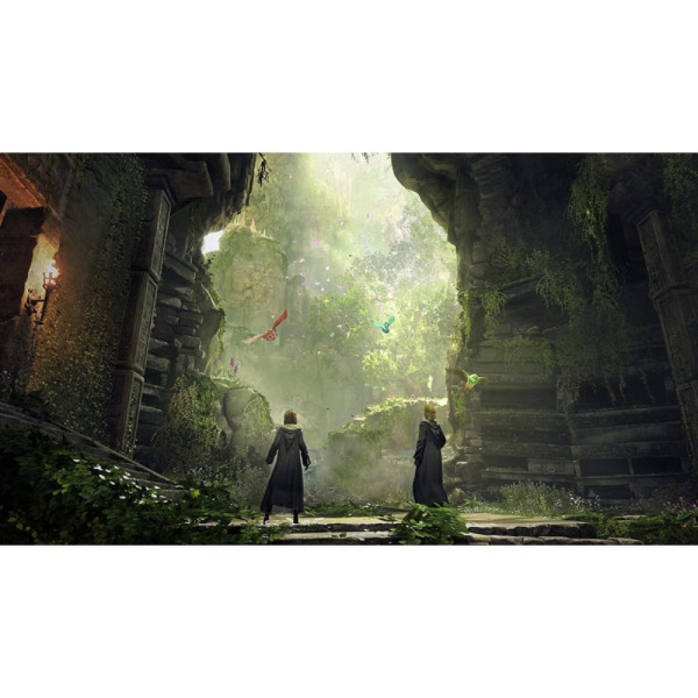 Гра Sony Hogwarts Legacy. Deluxe Edition, BD диск (5051895415412)