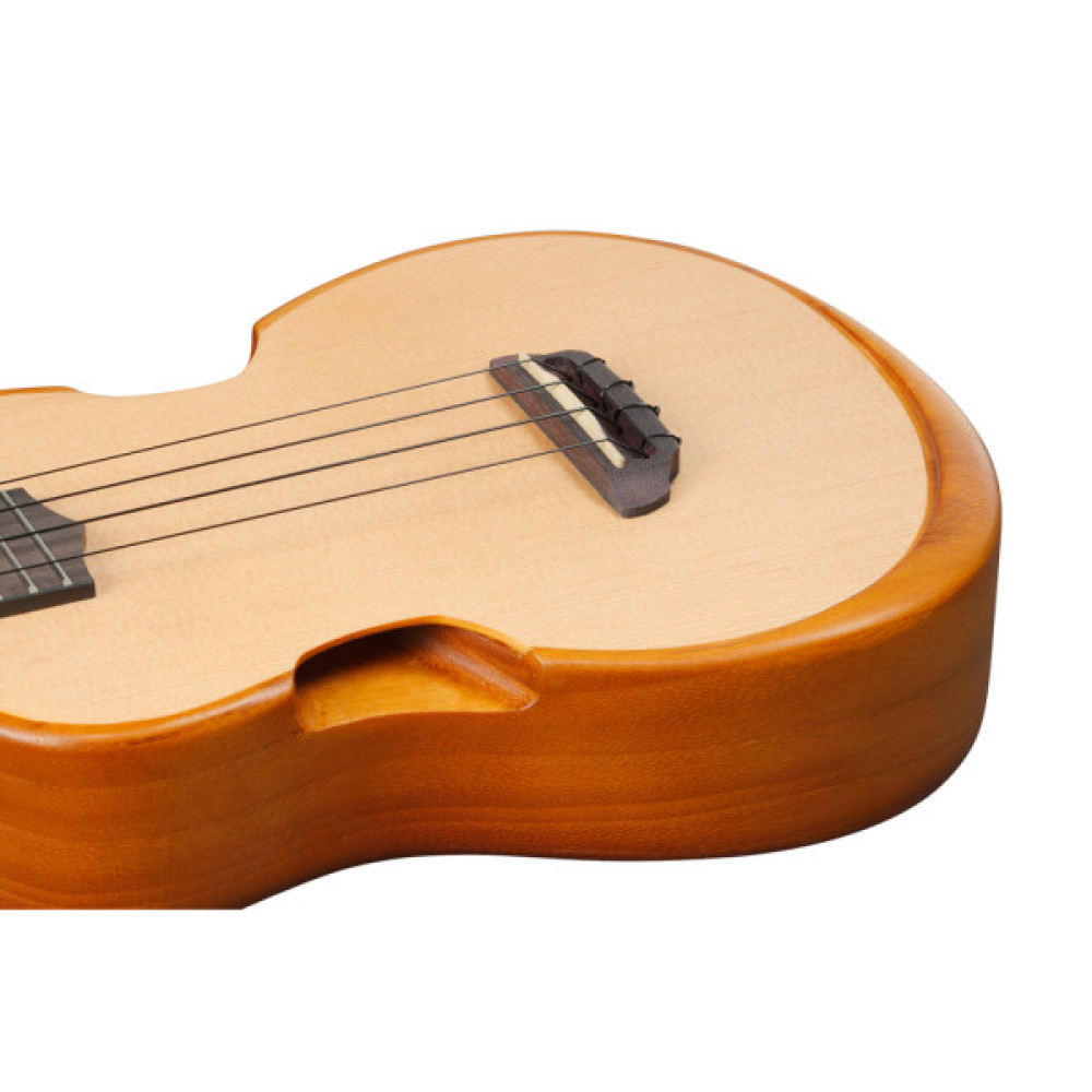 Укулеле Ibanez AUT10 OPN (234984)