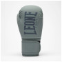 Боксерські рукавички Leone GN058 Tone X Light grey 10 oz (GN058_Light_grey_10oz)
