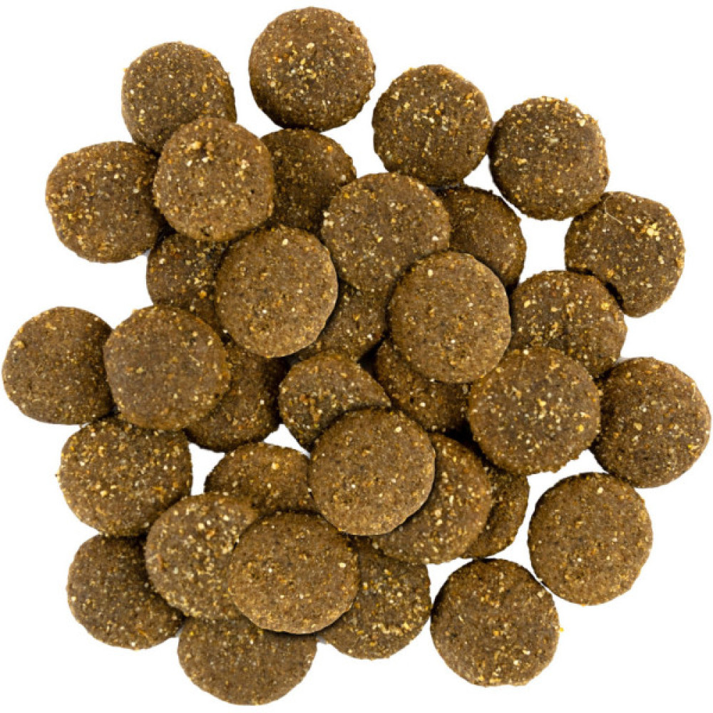 Сухий корм для собак Savory Large Breeds rich in Fresh Turkey and Lamb 3 кг (4820232630235)