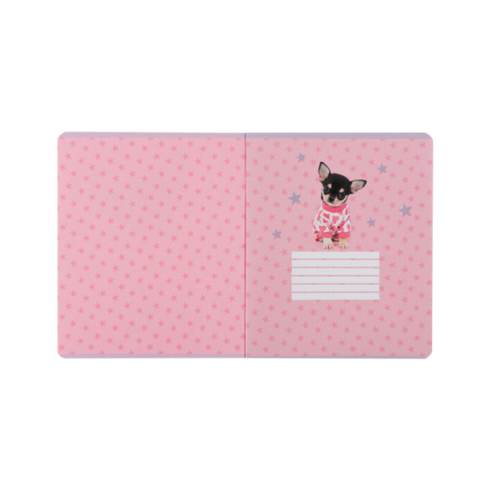 Зошит Kite Studio Pets, 24 аркуші, клітинка (SP25-238)