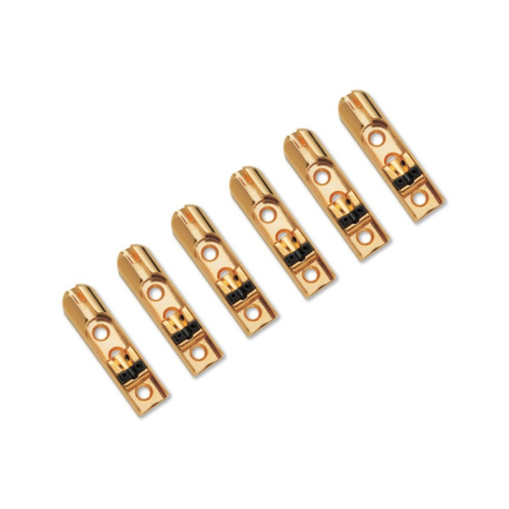 Бридж для гітари Paxphil BB216 Gold