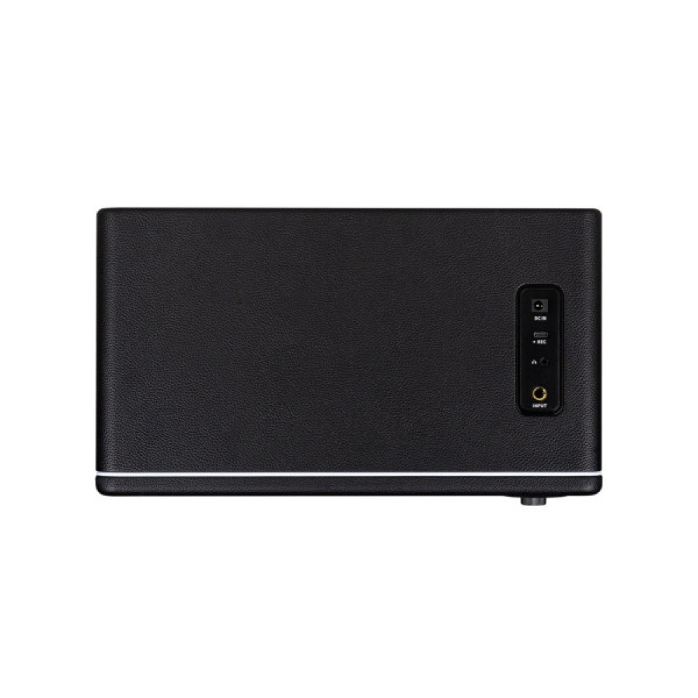 Комбопідсилювач Mooer Hornet 30i Black
