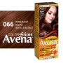 Фарба для волосся Acme Color Avena Shine Color Стійка 066 - Трюфельний каштан (4823115502612)